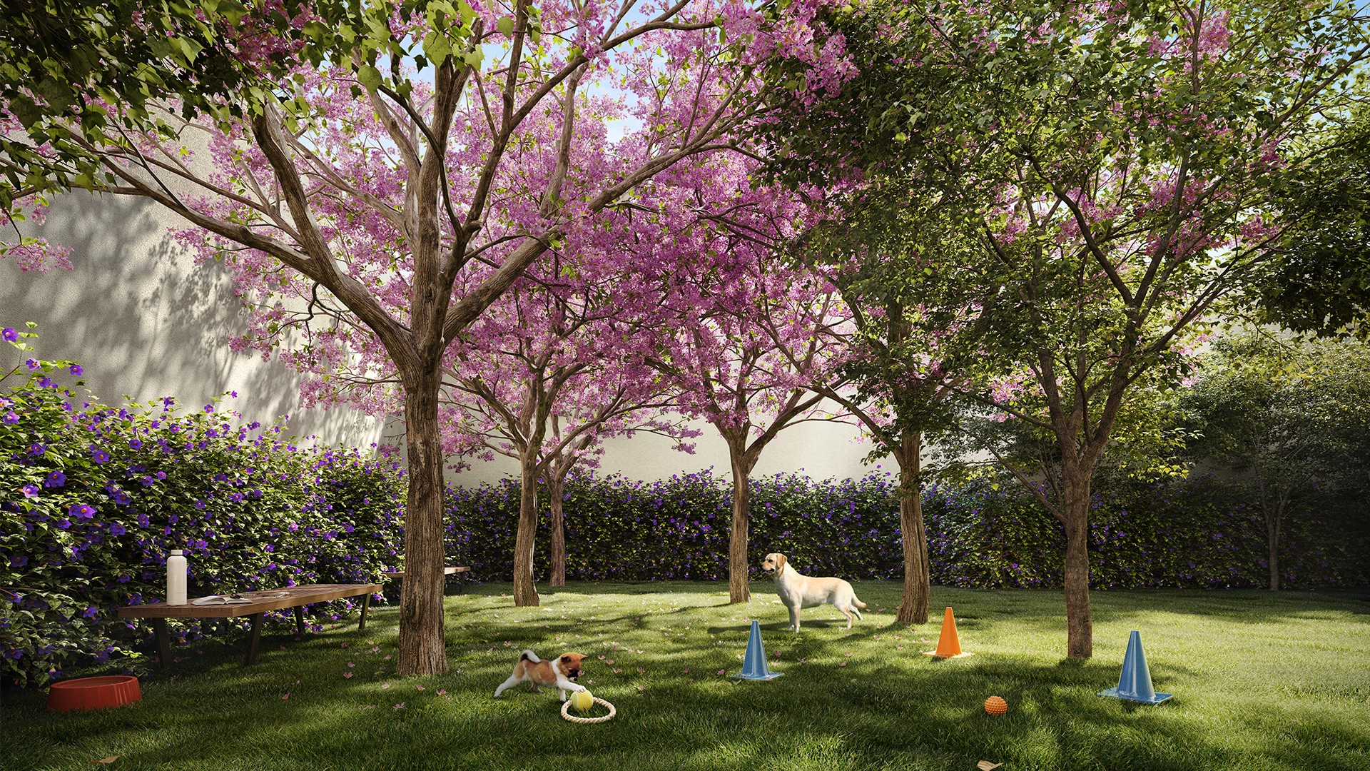 Perspectiva Ilustrada Pet Place
