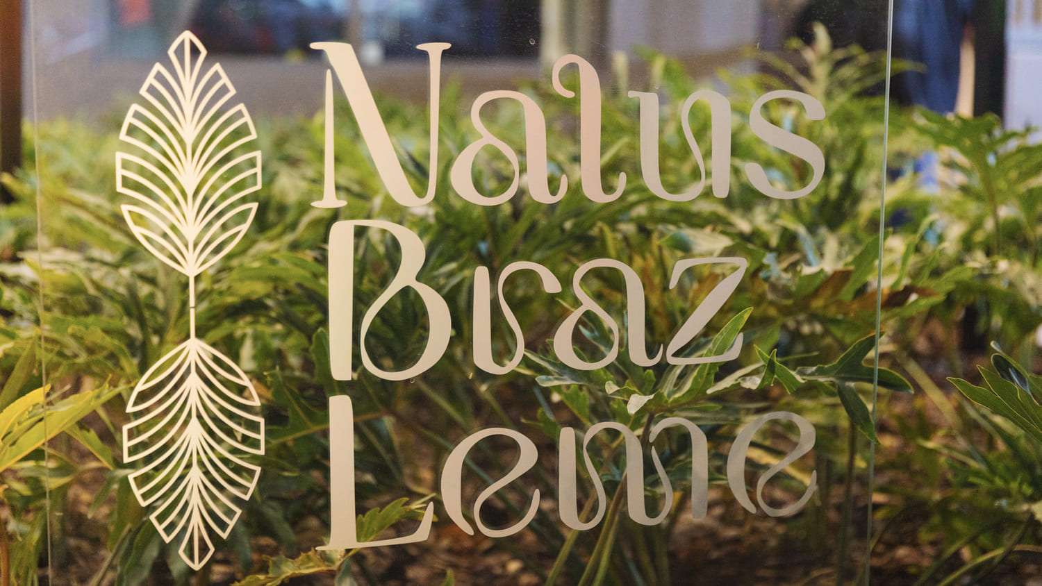 20_Natus-Braz-Leme.jpeg